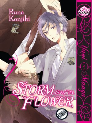 cover image of Storm Flower